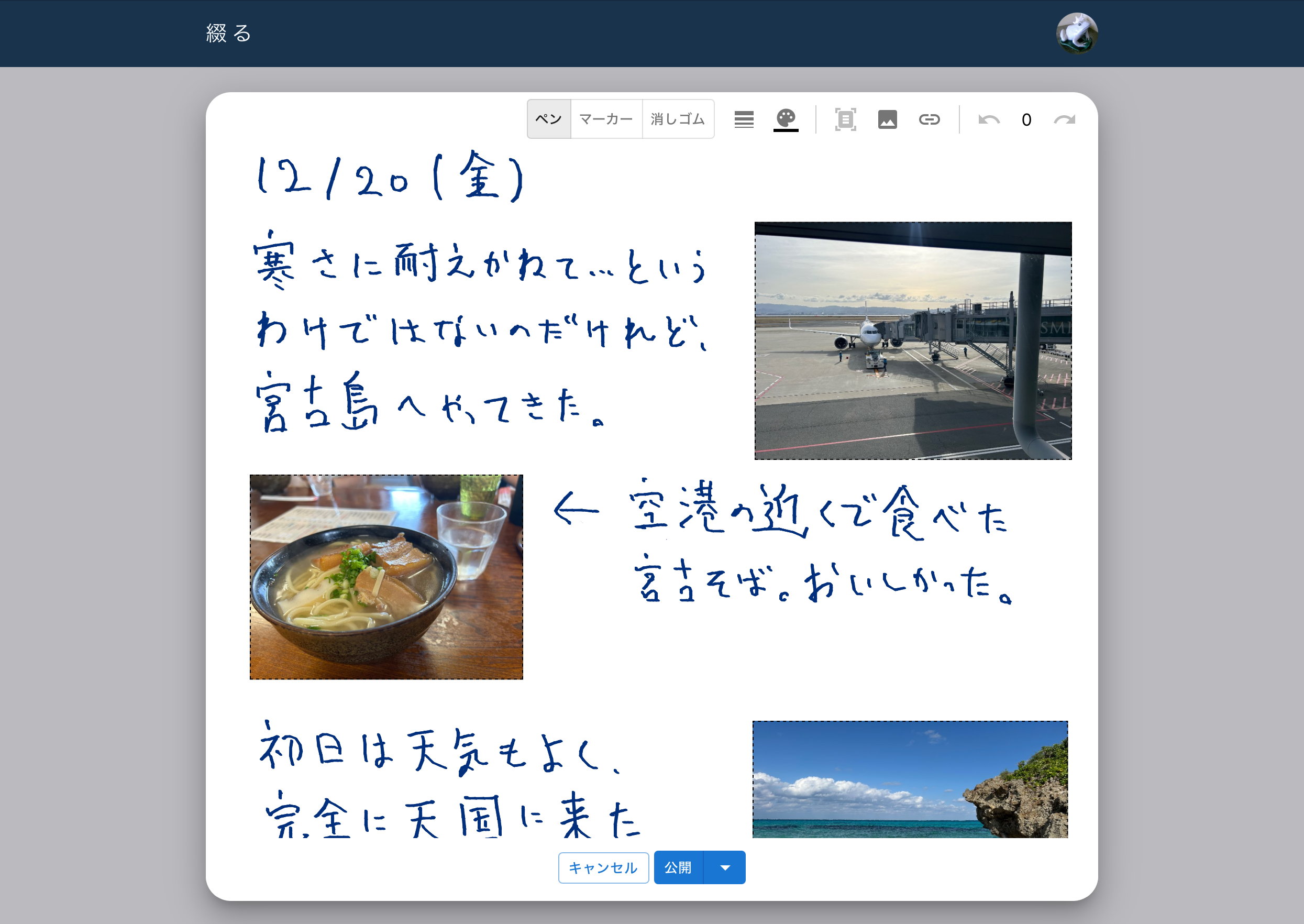 寒さに耐えかねて宮古島へ行った話